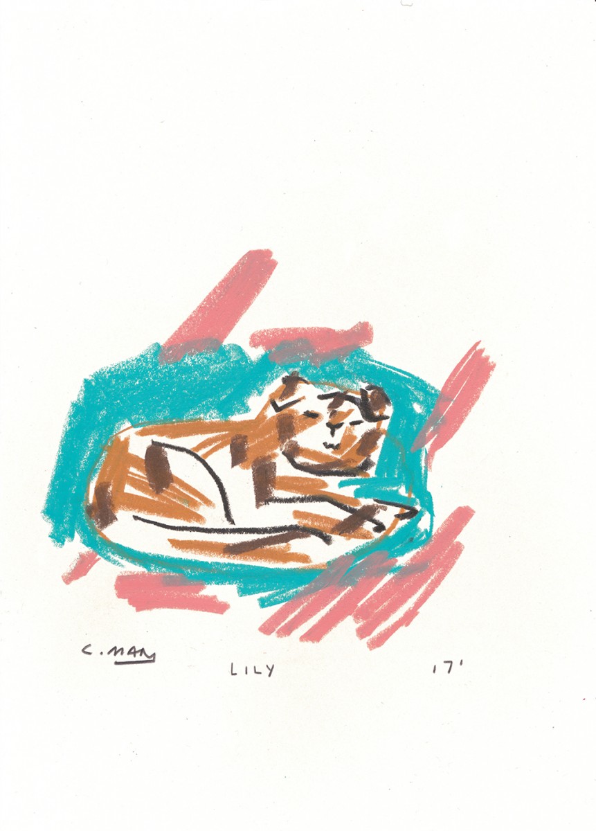 lily-229a160430f0a3d18c1fda4ff1251c28